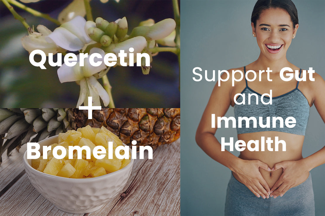 Quercetin + Bromelain: Not Just for Immunity — Your Gut Will Thank You Too