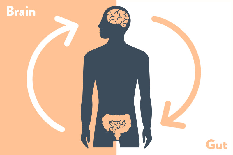 The Gut-Brain Axis