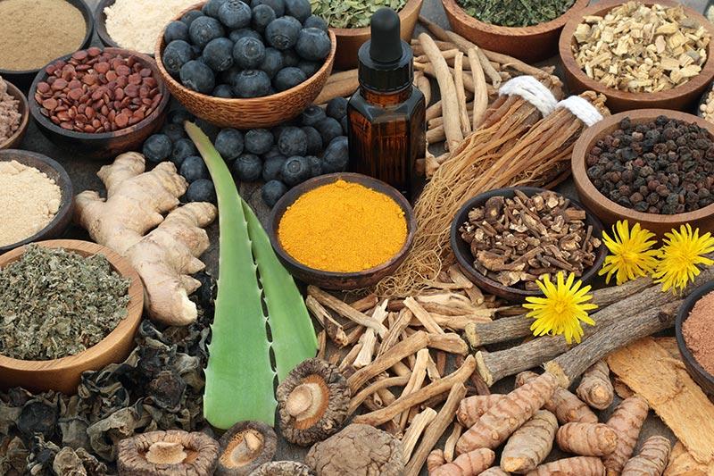 adaptogens-health-facts