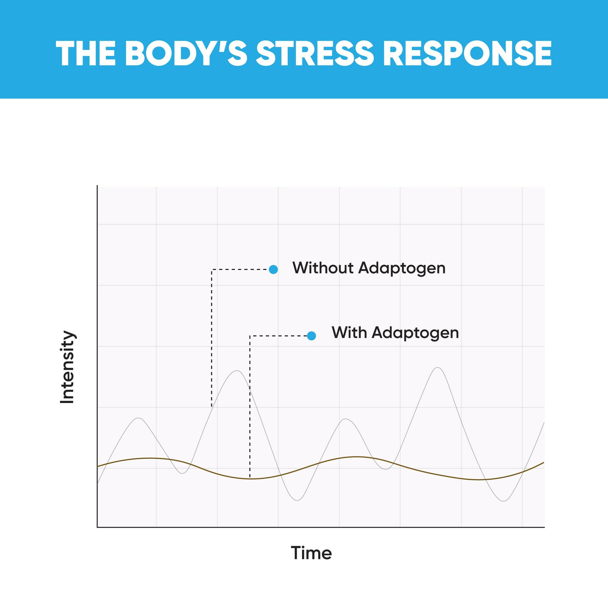 Chart showing body’s stress response with and without adaptogen support from Ashwagandha.