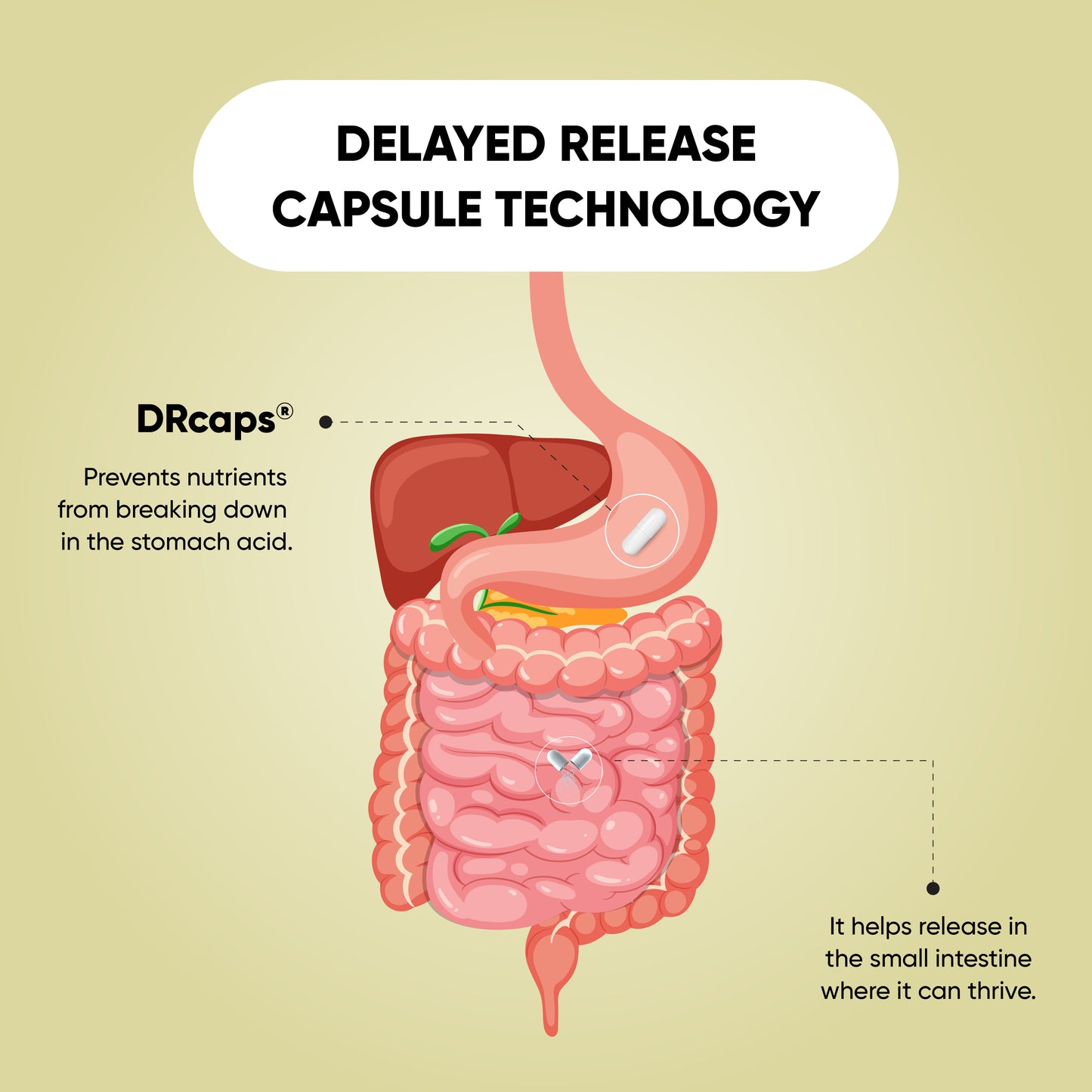 GUT Health