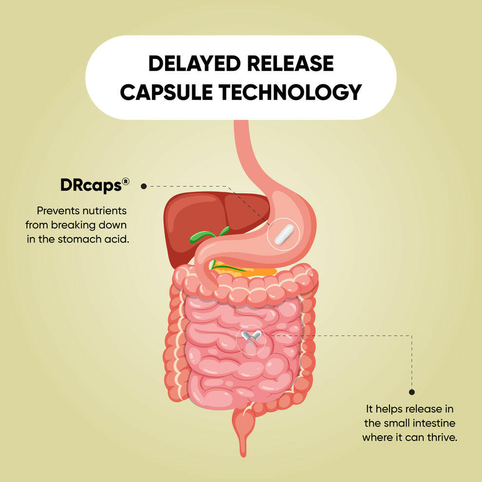 Illustration of delayed release capsule technology showing Sandhus DRcaps protecting nutrients from stomach acid and releasing them in the small intestine.
