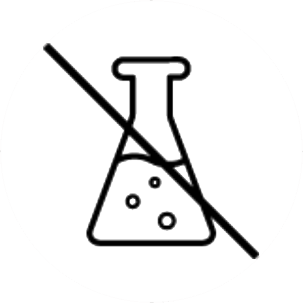 Non-GMO Icon