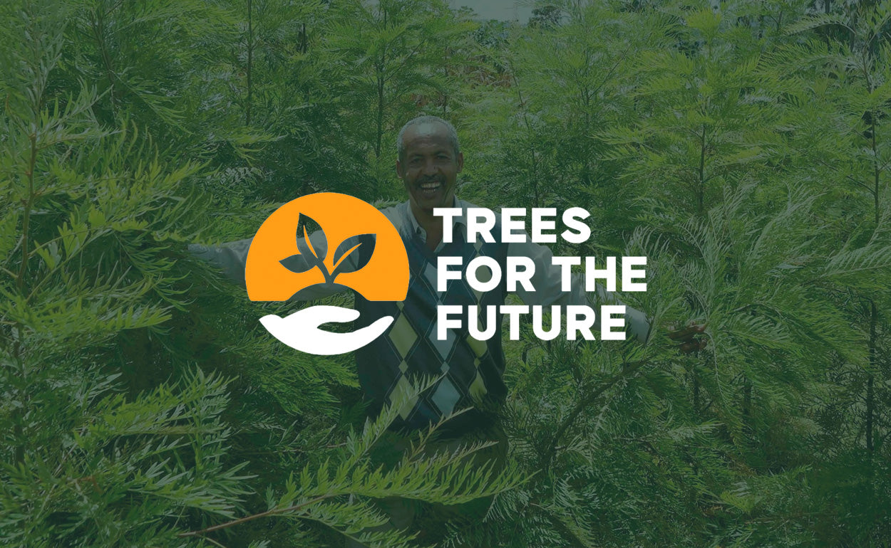 Man standing in trees with Trees for the Future banner, highlighting one order equals one tree planted.