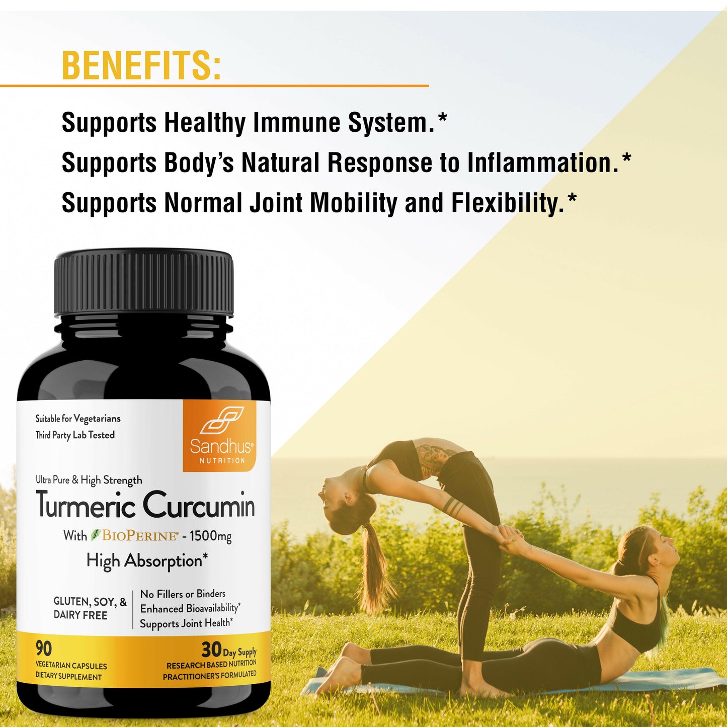 best curcumin supplement best turmeric supplement best joint supplement immune support supplement best antioxidant supplement