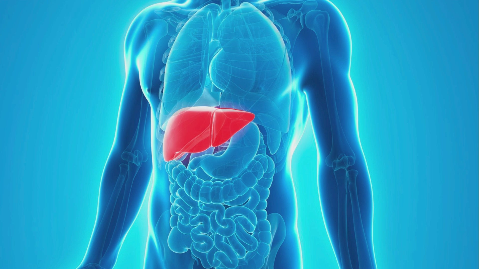 Sandhus liver cleanse & detox supplement facts panel with ingredients and serving size.