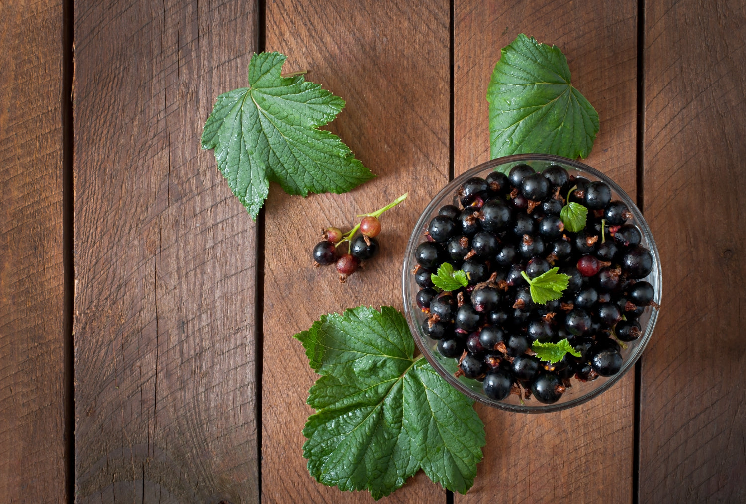 Fresh elderberry in a glass bowl with green leaves on a rustic wooden table.
