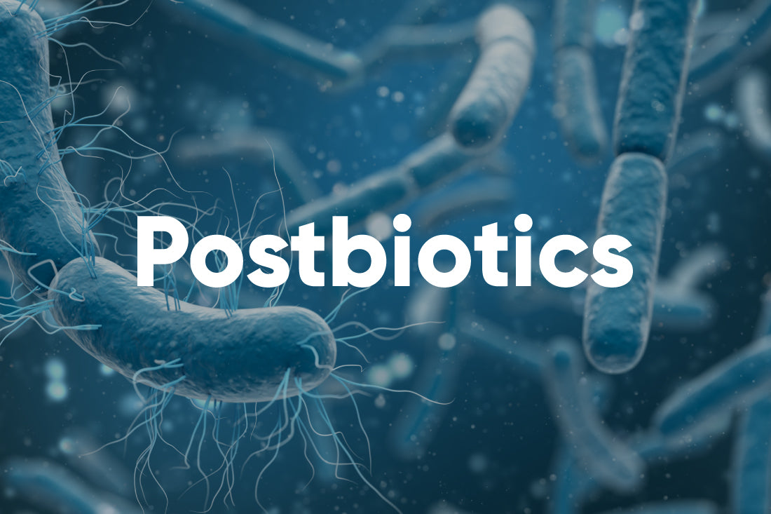 Understanding Postbiotics The Missing Key to Supporting Gut Health