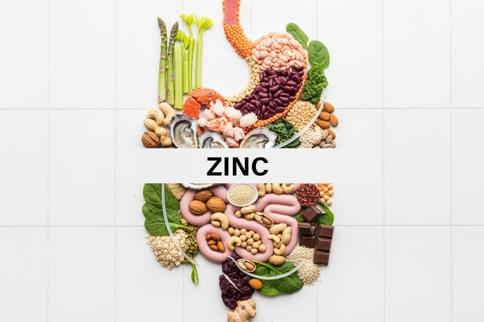 What is the role of zinc in digestion?