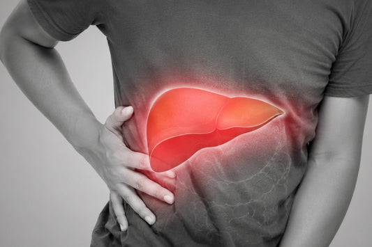 Person holding the upper abdomen with an illustrated glowing liver overlay, representing liver stress, inflammation, and the importance of supporting liver health during summer.