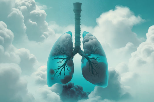 Illustration of human lungs surrounded by clouds symbolizing clean air, breathing, and respiratory wellness