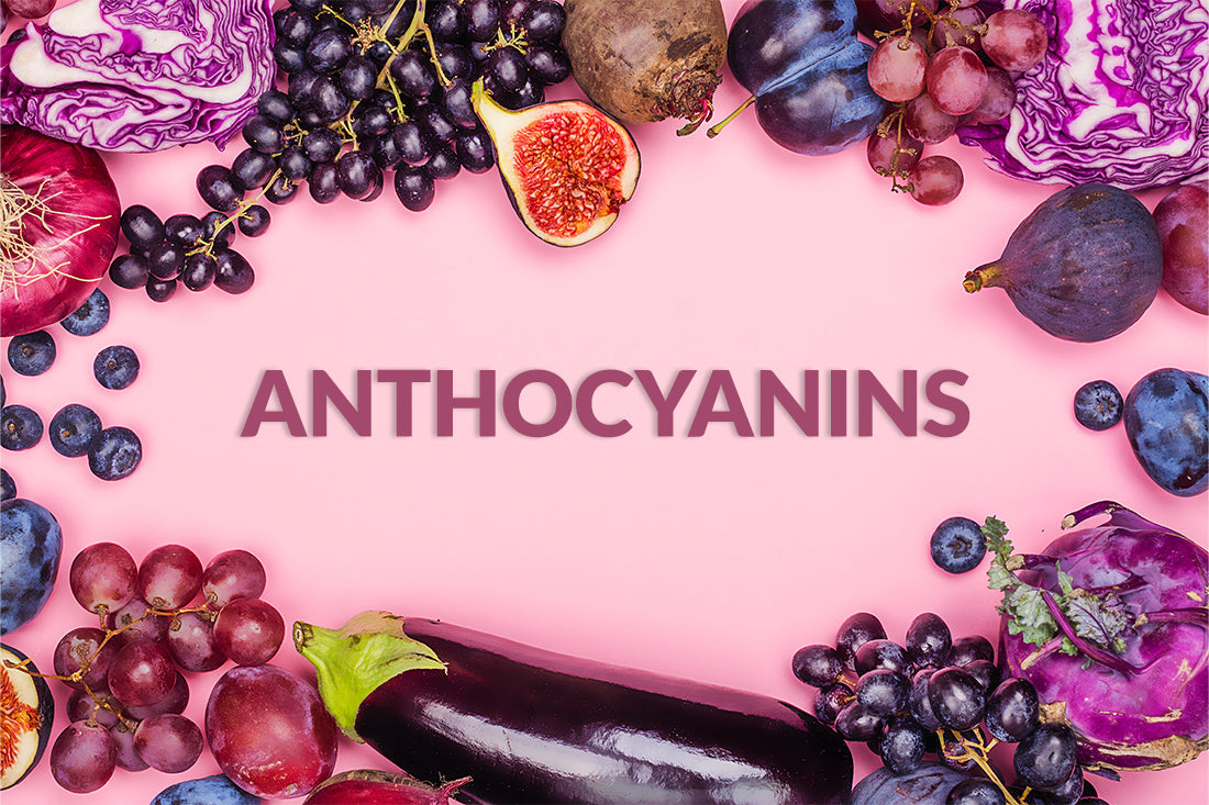 How Anthocyanins Help Maintain Brain, Eye, and Immune Health