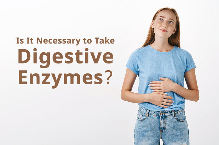 Is It Necessary to Take Digestive Enzymes?