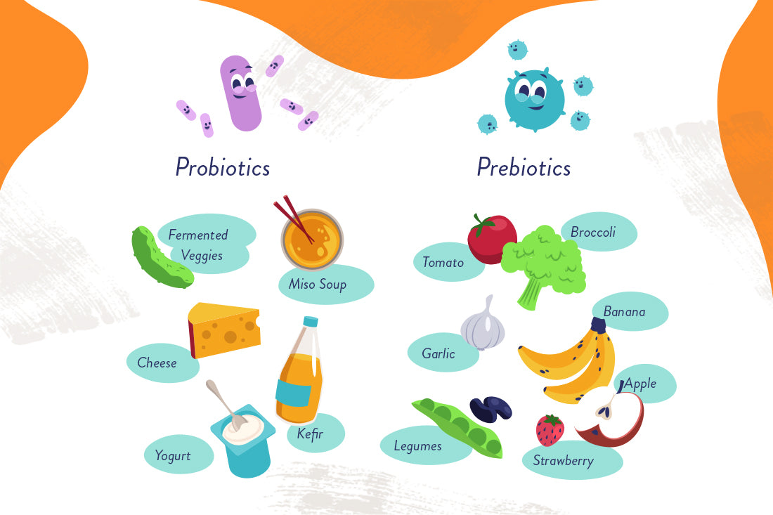 Is it better to only take a probiotic or with prebiotic?