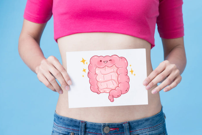 Woman holding a gut illustration on her stomach to represent digestive health, microbiome balance, and natural gut support