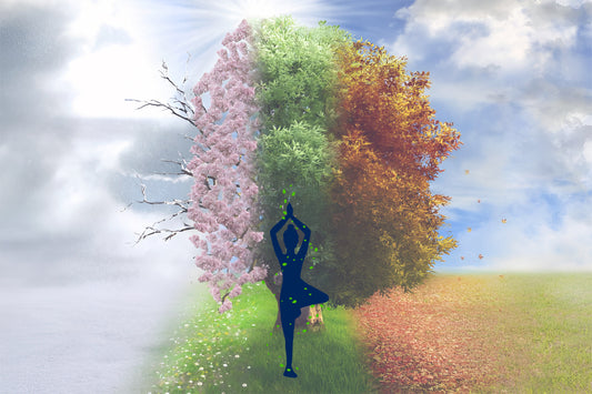 Seasonal Yoga Adapting Your Practice to the Changing Seasons