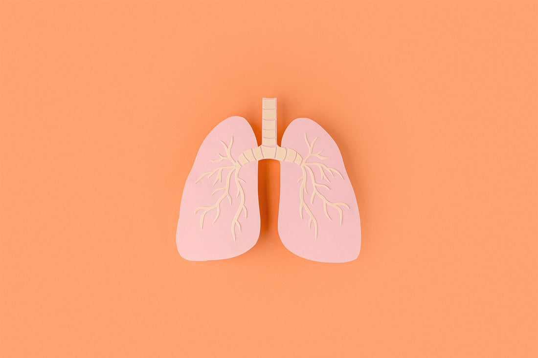 Simple Tips to Keep Your Lungs Healthy