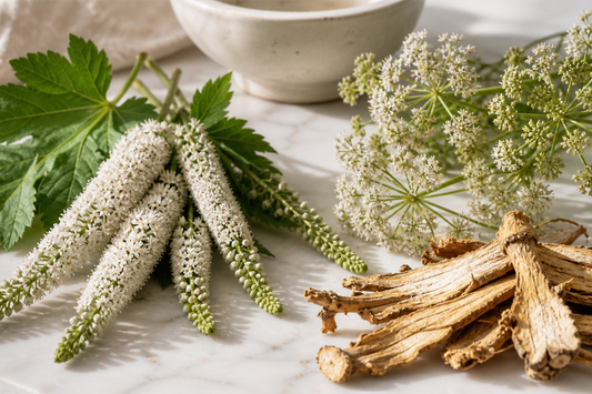 Dong quai roots and herbs on table used for menopause symptom relief and hormone balance in natural women's health treatments