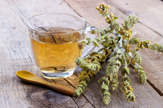 Warm mullein herbal tea in a glass cup with dried mullein flowers on a rustic wooden table