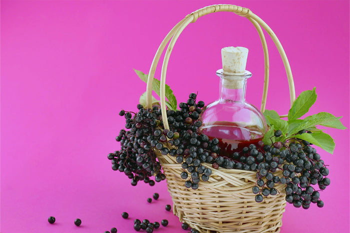 What Makes Elderberry a Must - Have Supplement This Summer?