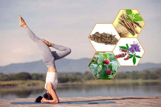 Which Herb is Really Good for Supporting Women's Health?
