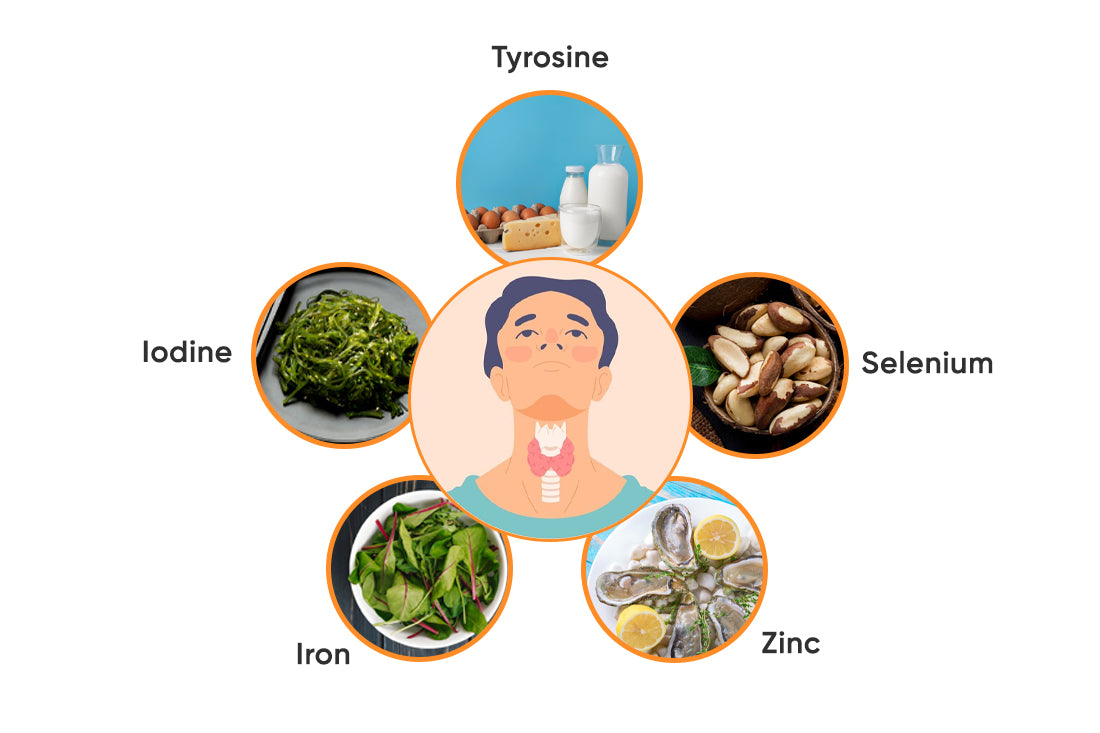 Nutrients Essential for Thyroid Function