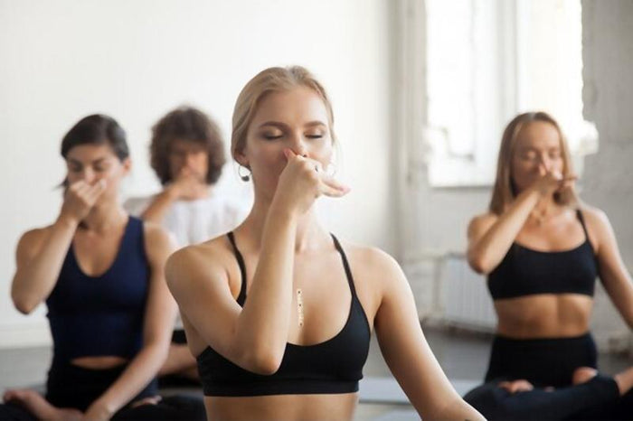 Anulom-Vilom Pranayama: A Novice’s Handbook