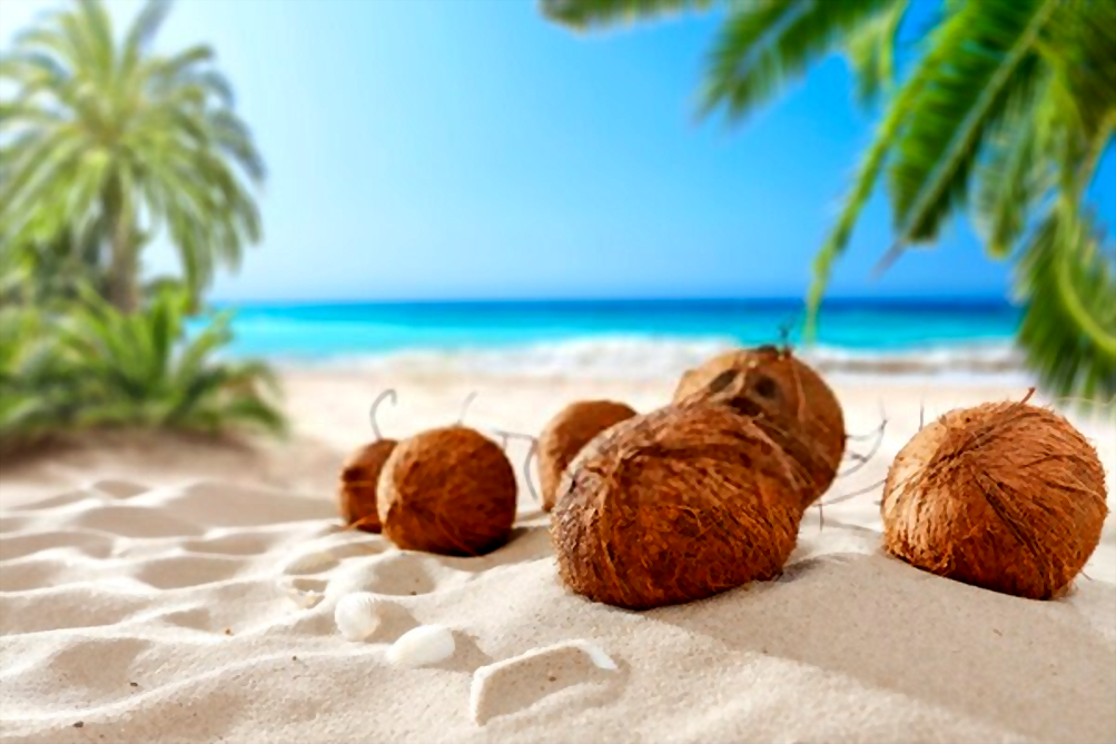 Going ‘Coconuts’ Over ‘Coconuts’