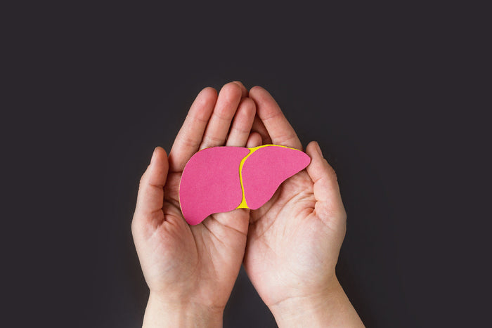 Hands gently holding a liver icon symbolizing liver protection, detoxification, and overall liver wellness.