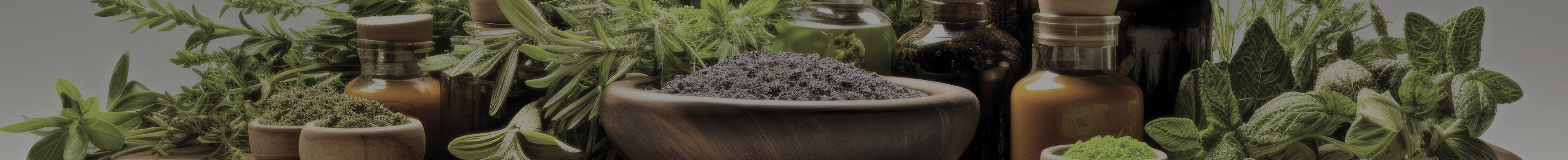 Ayurvedic Herbs