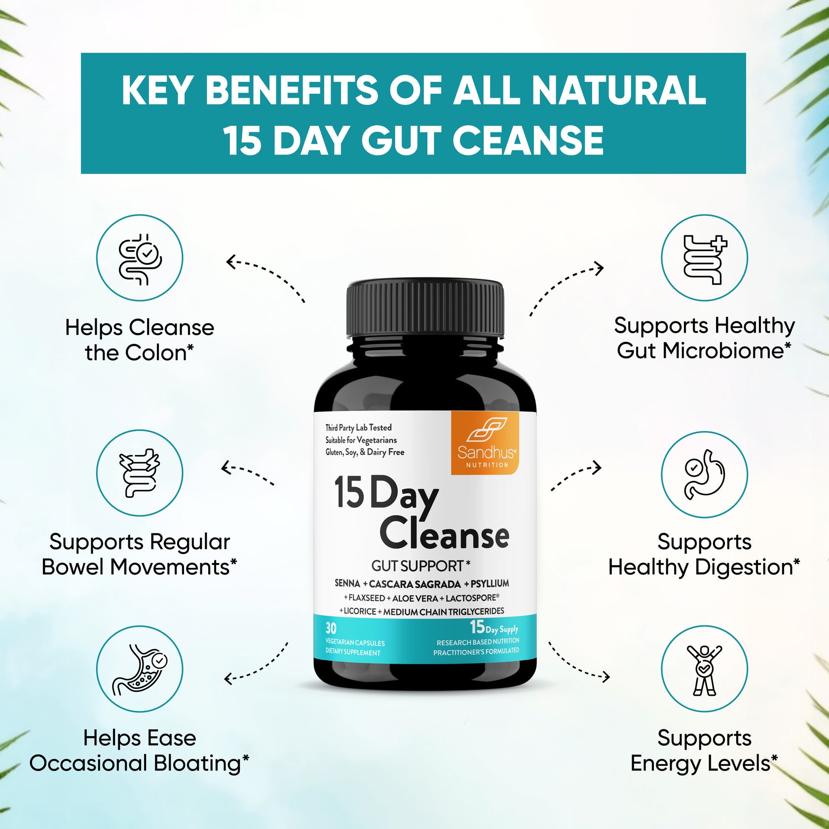Does The 15 Day Cleanse Work 15 Day Cleanse for a Healthy GUT Support | Sandhus – Sandhus Nutrition