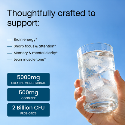Creatine + Cognizin + Probiotics Stick Packs (20 Ct)