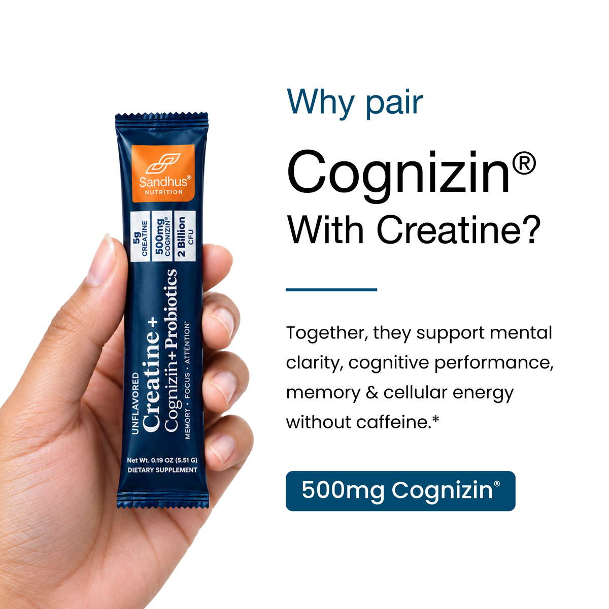 Creatine + Cognizin + Probiotics Stick Packs (20 Ct)