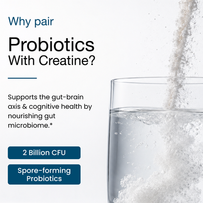 Creatine + Cognizin + Probiotics Stick Packs (20 Ct)