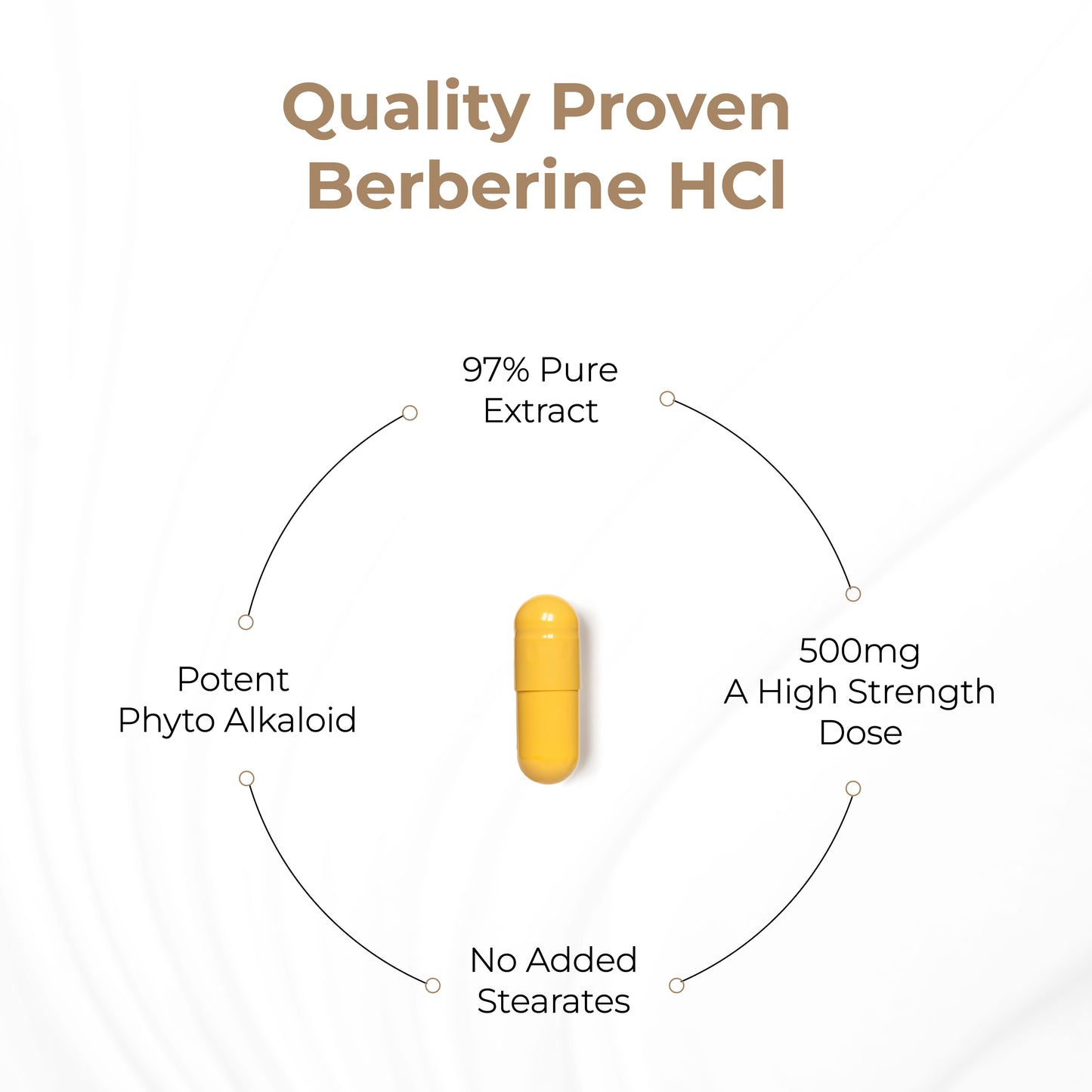 Berberine HCl - Capsules 60 Ct