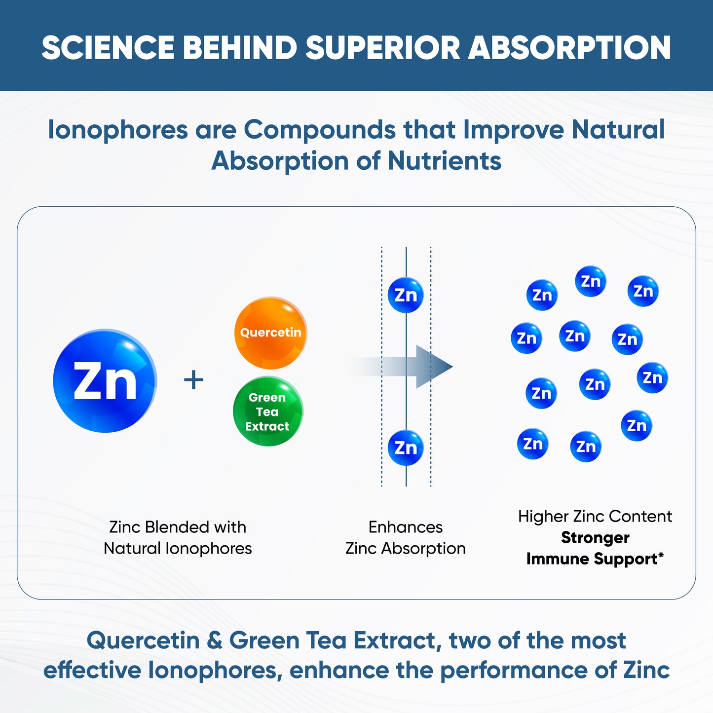 BioZnQ - Zinc with Quercetin Capsules 60 Ct