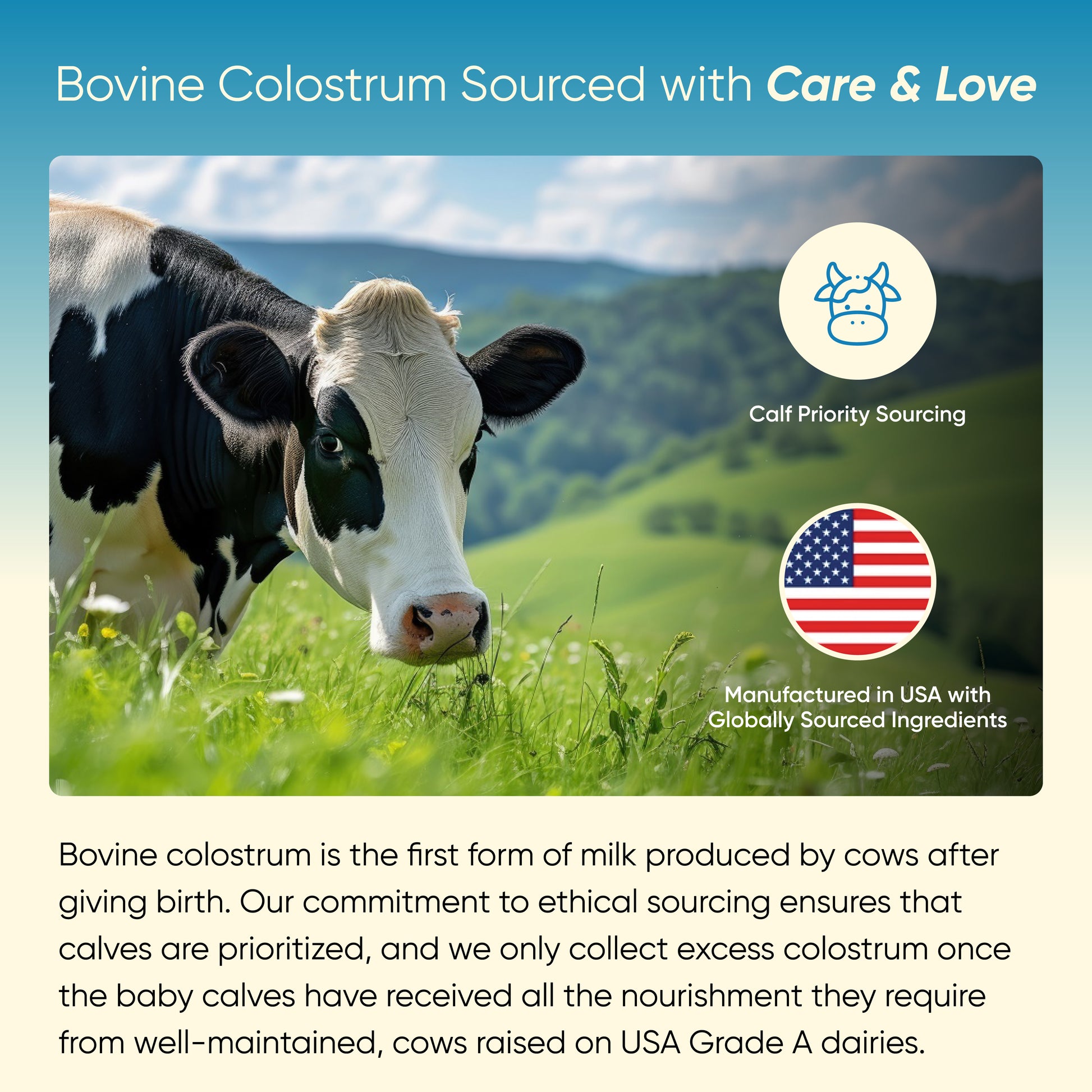 Cow in a field with scenic background and text about bovine colostrum sourcing.