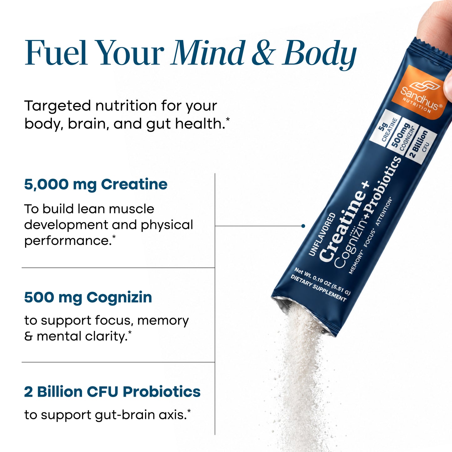 Creatine + Cognizin + Probiotics Stick Packs (20 Ct).