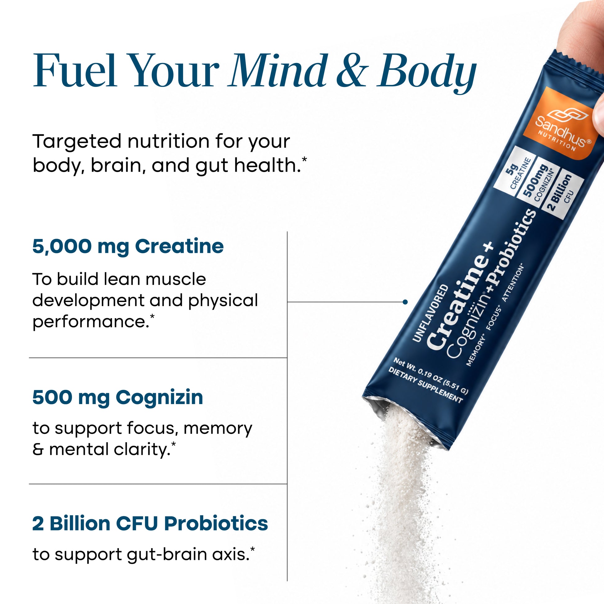 Creatine + Cognizin + Probiotics Stick Packs (20 Ct).