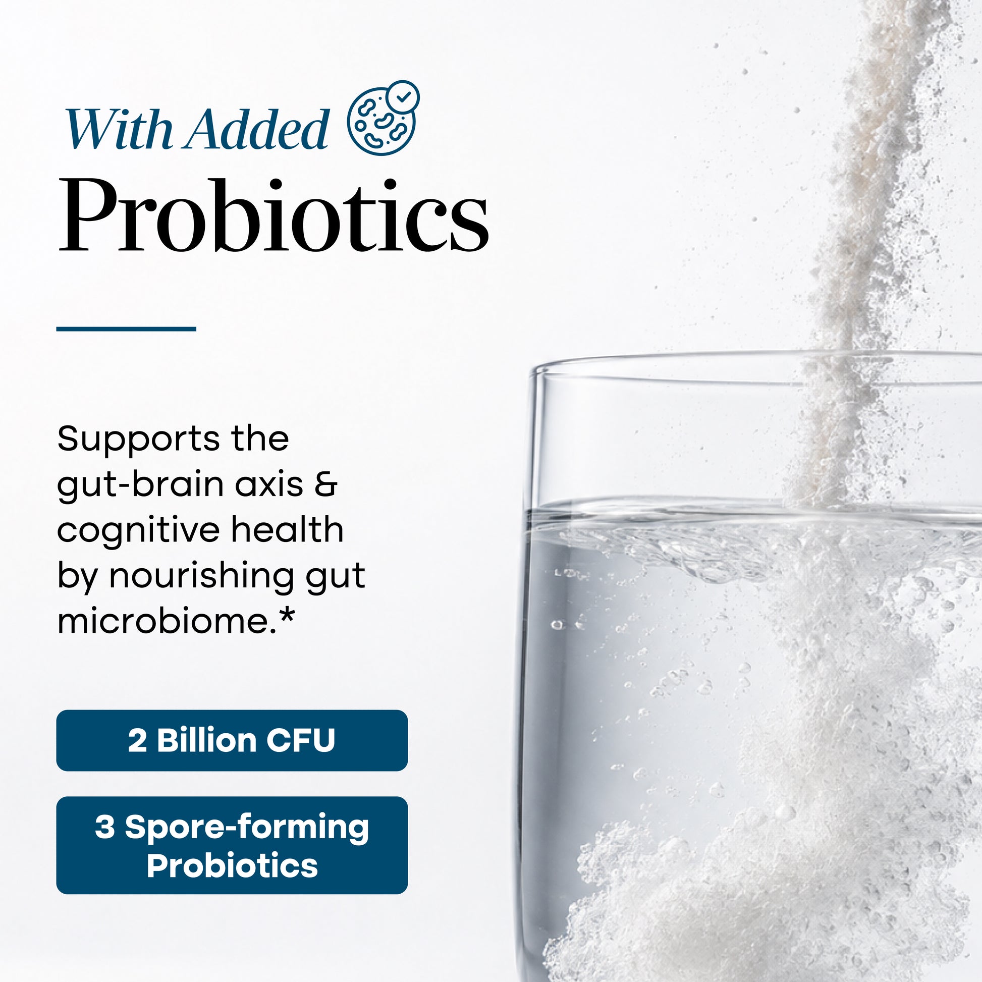 Creatine + Cognizin + Probiotics Stick Packs (20 Ct).