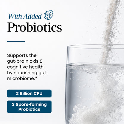 Creatine + Cognizin + Probiotics Stick Packs (20 Ct).