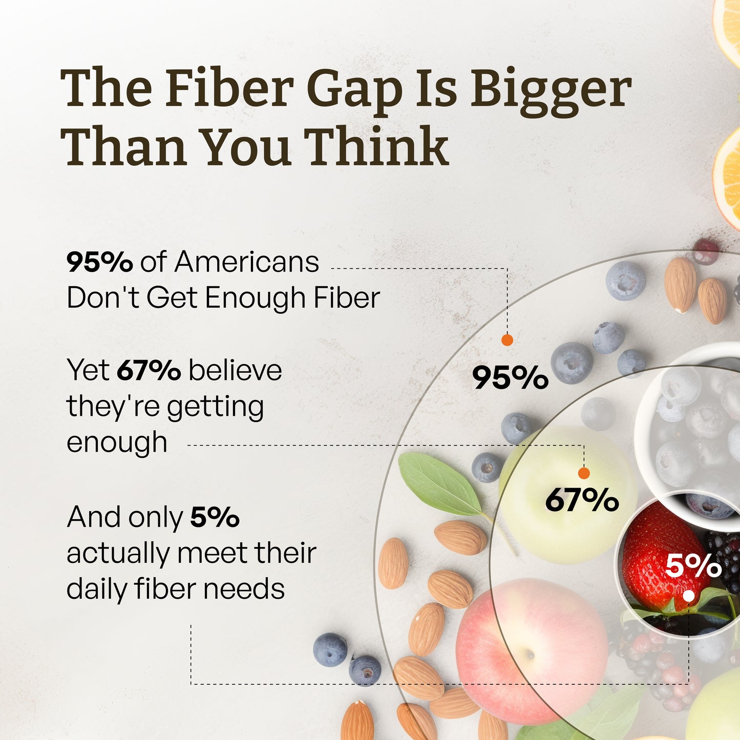 Fiber+ Prebiotic Fiber Boost.