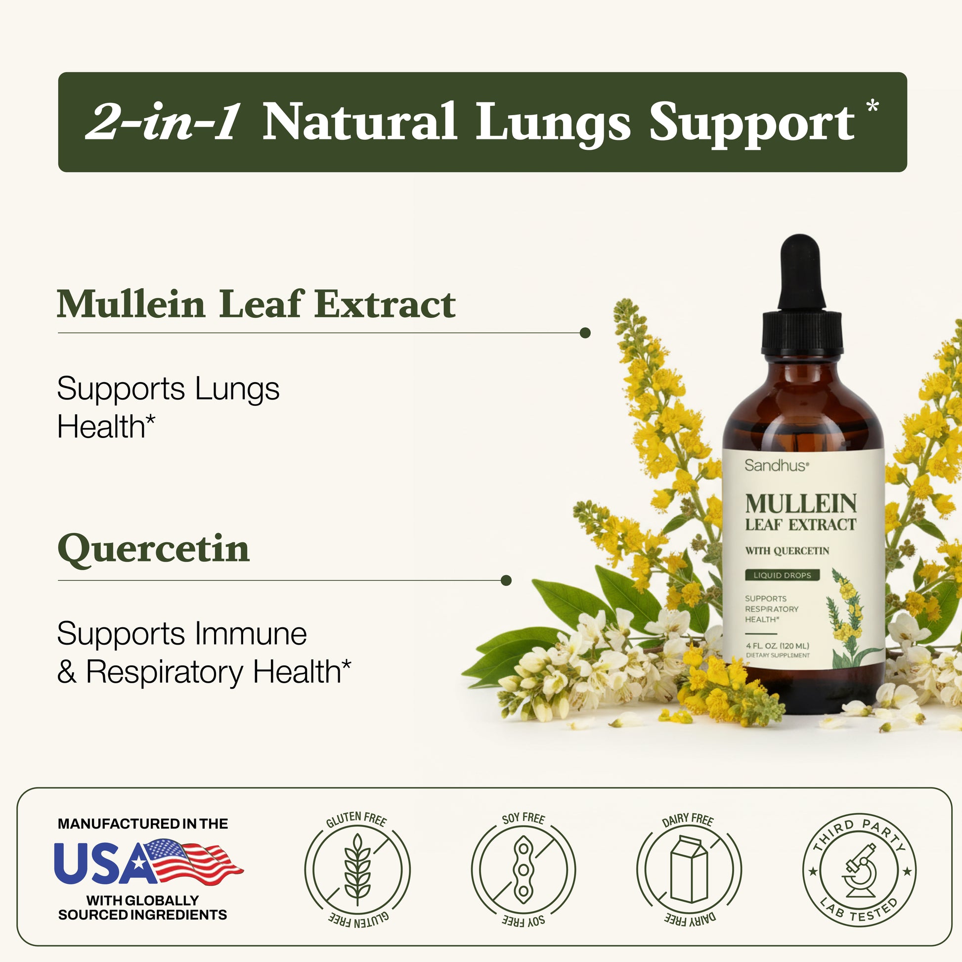 Bottle of Mullein Leaf Extract with quercetin and supporting text on a white background