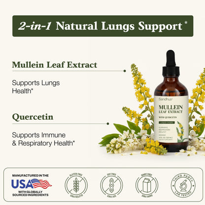 Bottle of Mullein Leaf Extract with quercetin and supporting text on a white background
