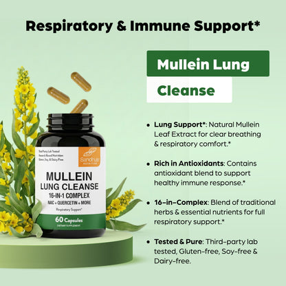 Mullein Lung Cleanse supplement bottle with mullein plant and capsules on a light green background