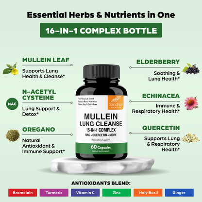 Mullein Lung Cleanse supplement bottle with ingredients listed on a light green background