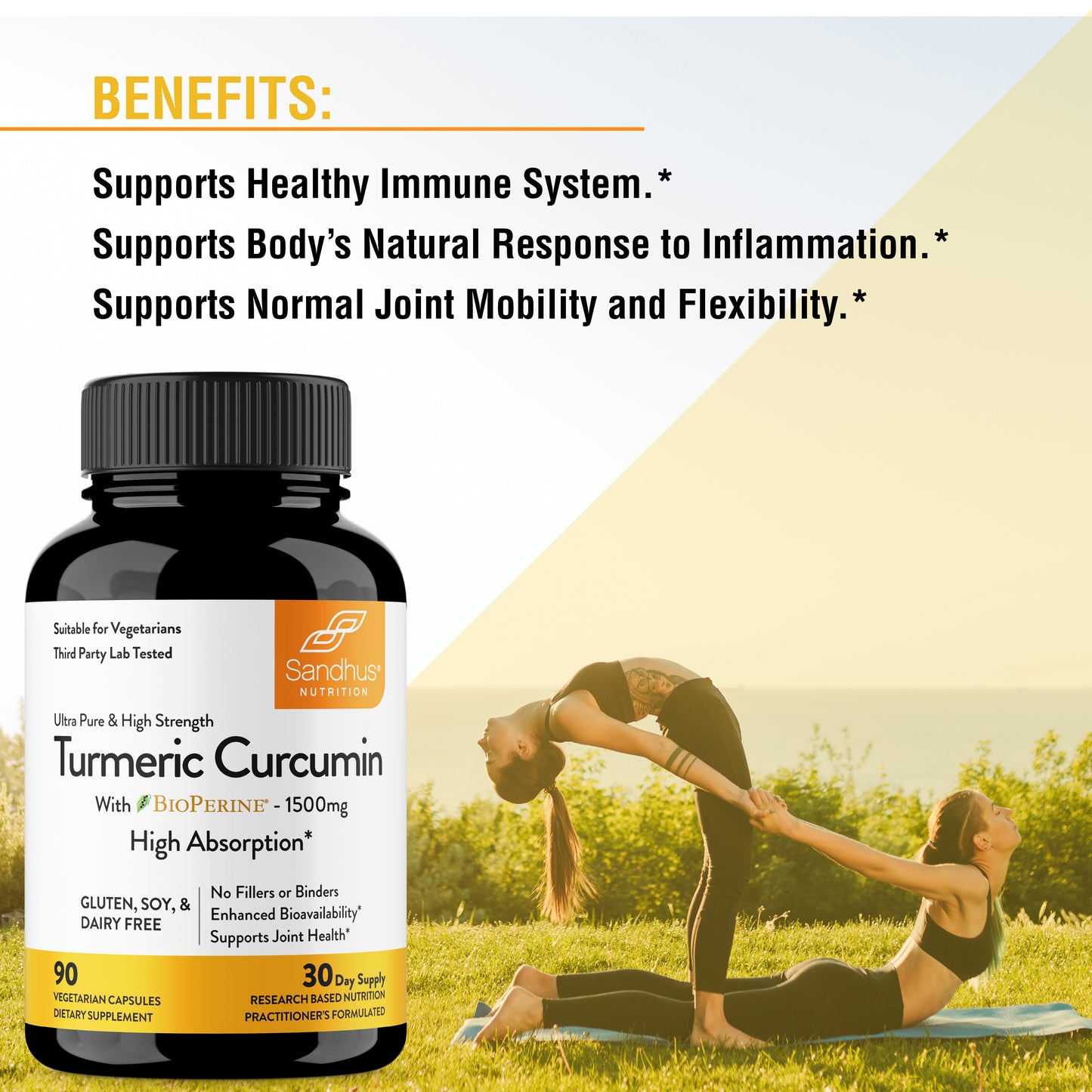 best curcumin supplement	best turmeric supplement	best joint supplement	immune support supplement	best antioxidant supplement