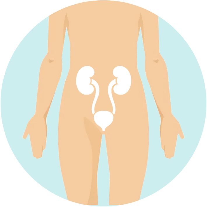 Naturally Combat UTI's Sandhus Nutrition