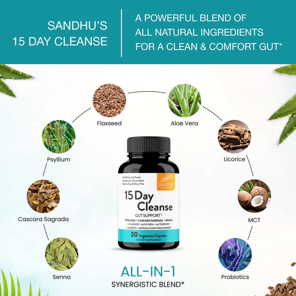 15 Day Cleanse
