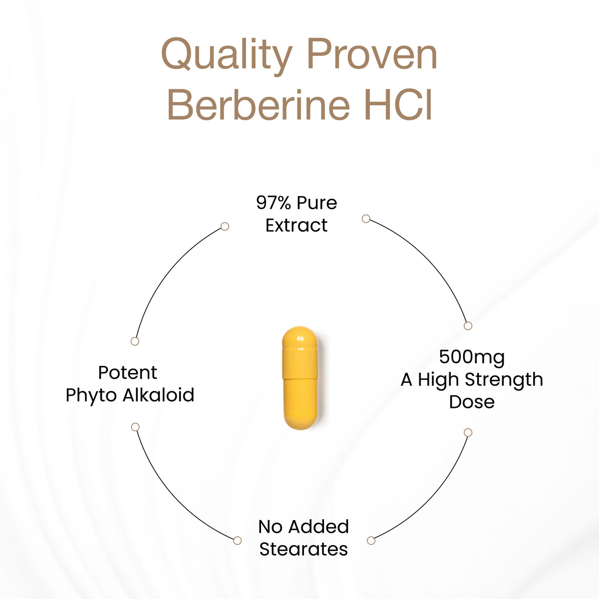 Berberine HCl - Capsules 60 Ct